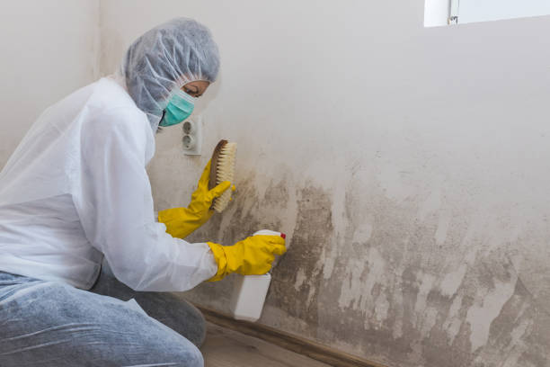 Best Air Quality Testing for Mold Spores  in North Bennington, VT