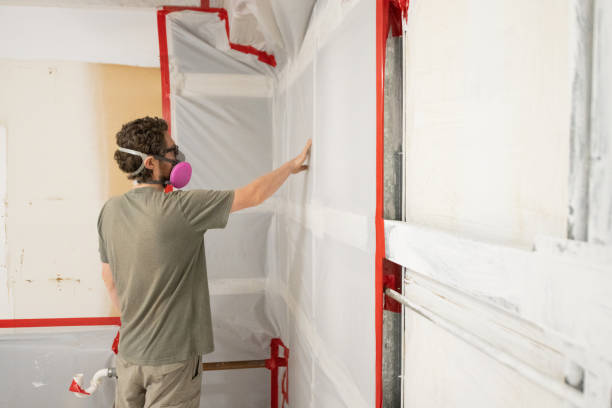 Best Mold Damage Restoration  in North Bennington, VT